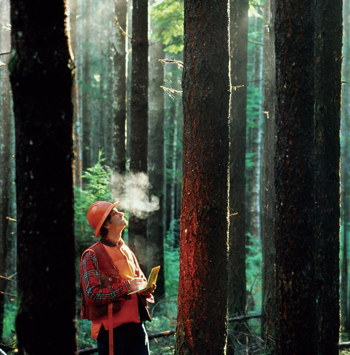 企業(yè)價值觀<br/>履行社會責任,實現(xiàn)可持續(xù)性發(fā)展。